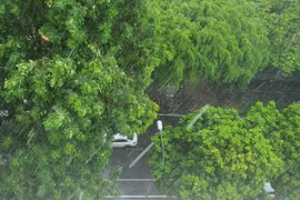 Nhiều khu vực xuất hiện mưa dông, có nơi mưa rất to. (Ảnh: Vietnam+)