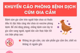 Những điều cần biết để phòng, chống bệnh dịch cúm gia cầm