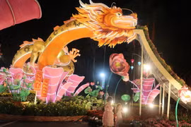 Đồng Tháp: Khai trương Đường Hoa Xuân thành phố Cao Lãnh
