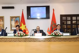 Các diễn giả tại hội thảo 'Chủ tịch Hồ Chí Minh và phong trào giải phóng dân tộc tại châu Phi, quan hệ Việt Nam-Maroc.' (Ảnh: Hồng Minh/TTXVN)
