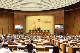 Quang cảnh phiên họp. (Ảnh: Phương Hoa/TTXVN)