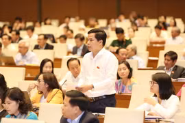 Đại biểu Quốc hội tỉnh Cao Bằng Bế Minh Đức phát biểu thảo luận. (Ảnh: Phương Hoa/TTXVN)