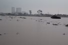 Một góc sông Đồng Nai. (Nguồn: TTXVN)