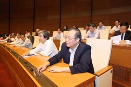 Quốc hội biểu quyết thông qua Luật báo chí (sửa đổi) hồi tháng 4/2016. (Ảnh: Phương Hoa/TTXVN)