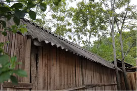 Mái nhà sử dụng tấm lợp amiăng.