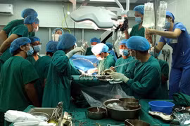 Một ca ghép tạng ở Bệnh viện Việt Đức. (Nguồn: TTXVN phát)