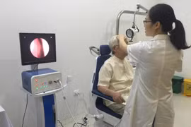 Hoạt động khám chữa bệnh diễn ra tại Trung tâm. (Ảnh: PV/Vietnam+)