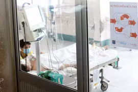 Ảnh minh họa. (Nguồn: TTXVN/Vietnam+)