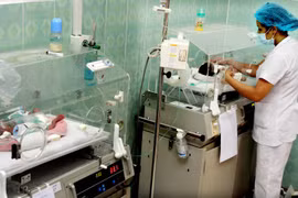 Ảnh minh họa. (Nguồn: TTXVN/Vietnam+)