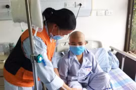 Viện Huyết học công bố 100 ca ghép tế bào gốc thành công 