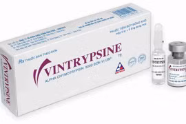 Thuốc bột đông khô pha tiêm Vintrypsine. (Nguồn: vinphaco.com.vn)