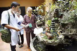 Biện pháp vệ sinh môi trường giúp phòng chống nhiều loại bệnh. (Ảnh: TTXVN/Vietnam+)