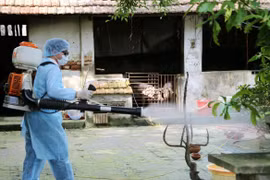 Không có thêm ca tử vong do sốt xuất huyết trong tháng 11 