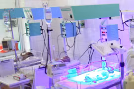Ảnh minh họa. (Nguồn: TTXVN/Vietnam+) 