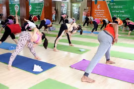 Theo các chuyên gia, người tập Yoga cần tập đúng và không quá sức. (Ảnh: Doãn Đức/Vietnam+)