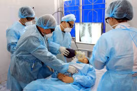 Cán bộ Y tế tổ chức cấp cứu và điều trị cho bệnh nhân nghi mắc cúm A (H7N9) tại buổi diễn tập. (Ảnh: Thái Thuần/TTXVN)