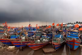 Tàu cá neo đậu tránh bão. (Ảnh: An Đăng/TTXVN)