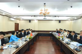 Quang cảnh cuộc họp. (Ảnh: Phạm Kiên/Vietnam+)
