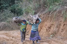 Bắc Bộ thời tiết ấm dần, trời nắng không khí hanh khô