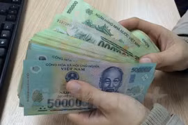 Ảnh minh họa. (Nguồn: Vietnam+)