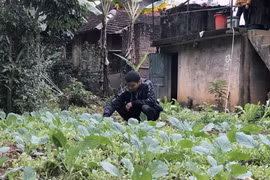 Người dân tại điểm tái định cư đô thị tại bản Phiêng Nèn 2, xã Mường Giàng, huyện Quỳnh Nhai, Sơn La. (Nguồn: TTXVN)