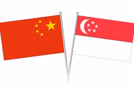 (Nguồn: Singapore Company Incorporation)