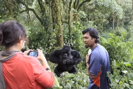 Du khách tại Công viên thú hoang dã Virunga. (Nguồn: Africanews)
