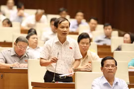 Đại biểu Quốc hội tỉnh Vĩnh Long Phạm Tất Thắng chất vấn Phó Thủ tướng Vương Đình Huệ. (Ảnh: Phương Hoa/TTXVN)