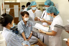 Điều trị cho bệnh nhân sốt xuất huyết. (Nguồn: TTXVN)