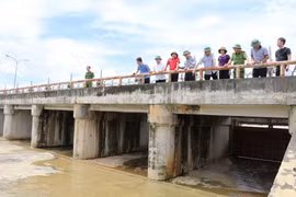 Bộ trưởng Bộ Nông nghiệp và Phát triển nông thôn Nguyễn Xuân Cường và lãnh đạo tỉnh Ninh Bình kiểm tra công tác khắc phục sự cố tràn tại Lạc Khoái (huyện Nho Quan). (Ảnh: Ninh Đức Phương/TTXVN)