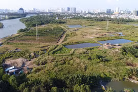 Kiểm tra việc chuyển nhượng đất công cho Công ty Quốc Cường Gia Lai