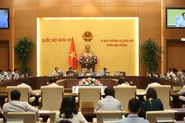Quang cảnh phiên họp. (Ảnh: Dương Giang/TTXVN)
