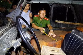 Các lực lượng chức năng kiểm đếm số gỗ trên xe ôtô. (Ảnh: Trung Thực/Vietnam+) 