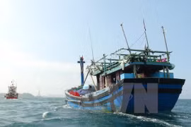 Ảnh minh họa. (Nguồn: TTXVN)