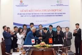 (Ảnh minh họa. TTXVN phát)