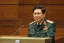 Đại tướng Ngô Xuân Lịch, Bộ trưởng Bộ Quốc phòng. (Ảnh: Dương Giang/TTXVN) 