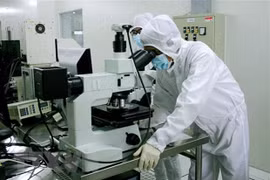 Nghiên cứu phát triển sản phẩm vi mạch bán dẫn, kết quả hợp tác chuyển giao công nghệ tại Khu công nghệ cao Thành phố Hồ Chí Minh. (Ảnh: Tiến Lực/TTXVN)