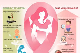[Infographics] Những yếu tố ảnh hưởng tới nguy cơ ung thư vú