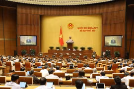 (Ảnh: Dương Giang/TTXVN)