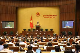 Quang cảnh phiên họp. (Ảnh: Dương Giang/TTXVN)