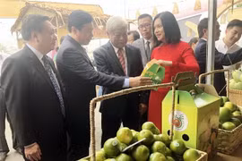 Tuần hàng đặc sản Đồng Tháp tại Thành phố Hồ Chí Minh năm 2019 giới thiệu đa dạng sản phẩm nông sản tươi sống, sản phẩm chế biến, hàng thủ công mỹ nghệ… (Ảnh: Mỹ Phương/TTXVN)