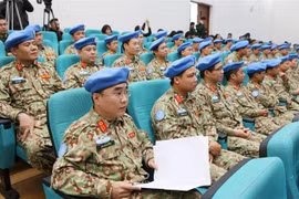 (Ảnh: Dương Giang/TTXVN)