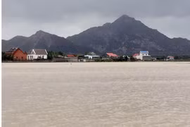 Nhiều diện lúa vụ Đông Xuân sớm ở huyện Thuận Nam bị ngập sâu trong nước. (Ảnh: Công Thử/TTXVN)