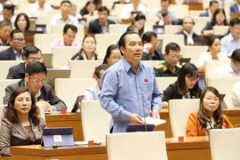 Đại biểu Quốc hội phát biểu. (Ảnh: Phương Hoa/TTXVN)