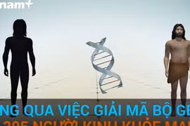 Giải mã bộ gene của người Việt - cánh cửa mở ra quá khứ, tương lai