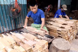 (Ảnh minh họa. Vũ Sinh/TTXVN)