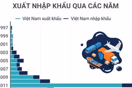 Tổng quan quan hệ thương mại Việt Nam và Nam Phi