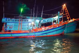 Ảnh chỉ có tính minh họa. (Ảnh: Trung Hiếu/TTXVN)