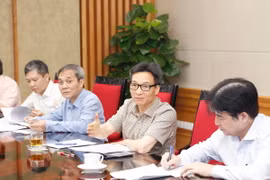 Phó Thủ tướng Vũ Đức Đam phát biểu. (Ảnh: Lâm Khánh/TTXVN)