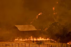 Cháy rừng dữ dội tại Guinda, California, Mỹ. (Nguồn: AFP/TTXVN)